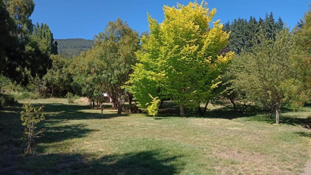 Rupu Pehuen Lejlighedshotel San Carlos de Bariloche Eksteriør billede
